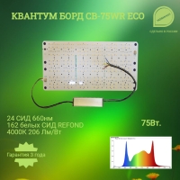   (Quantum board)CB75 WR1 ECO