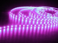   3528(60LED/) IP65  5 