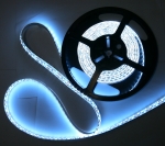 Светодиодная лента белая (120LED/м) IP65